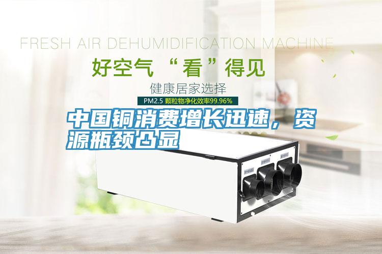 中國銅消費增長迅速，資源瓶頸凸顯