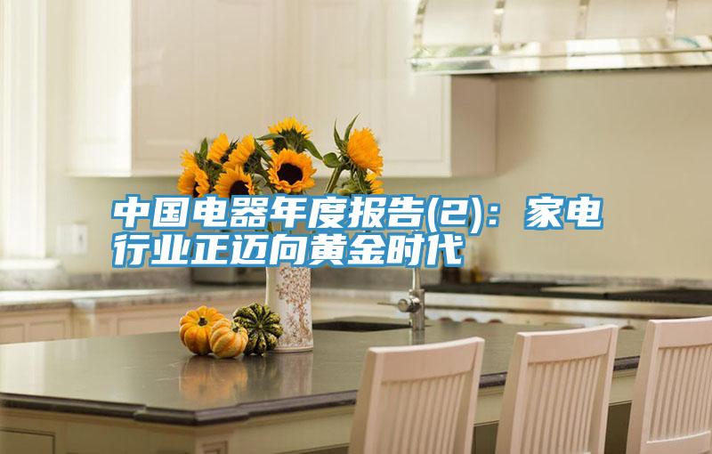 中國電器年度報告(2)：家電行業正邁向黃金時代