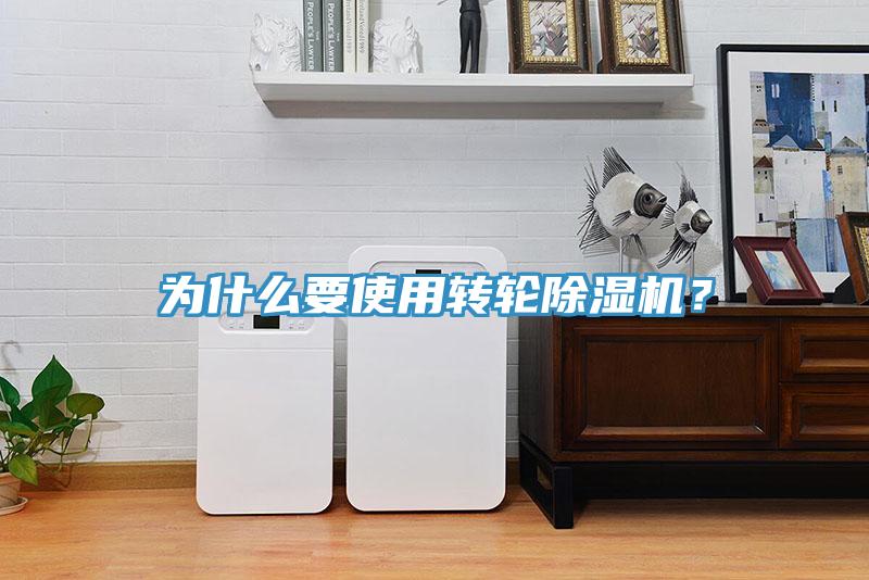 為什麽要使用轉輪蘑菇视频网站？