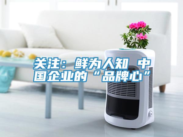 關注：鮮為人知 中國企業的“品牌心”