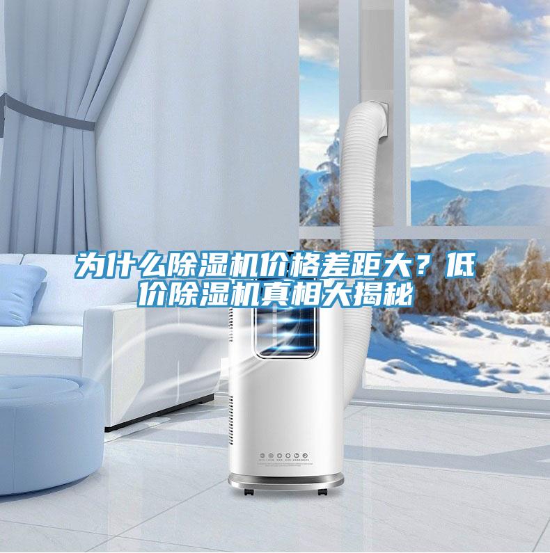 為什麽蘑菇视频网站價格差距大？低價蘑菇视频网站真相大揭秘