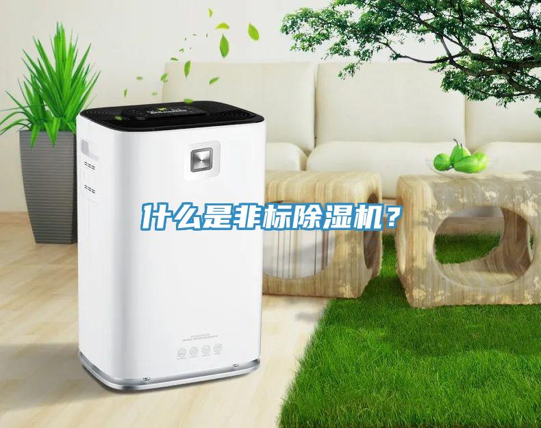 什麽是非標蘑菇视频网站？