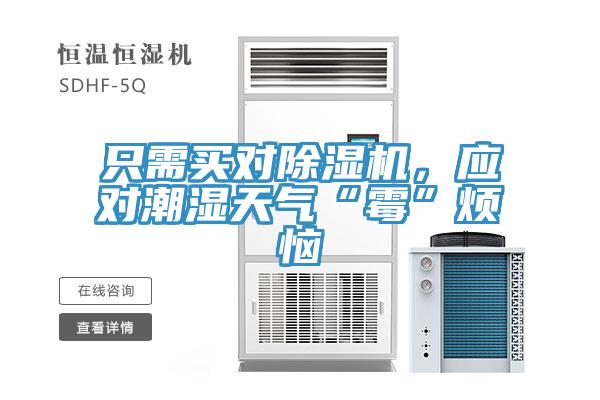 隻需買對蘑菇视频网站，應對潮濕天氣“黴”煩惱