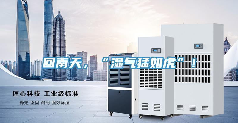 回南天，“濕氣猛如虎”！