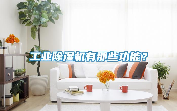 工業蘑菇视频网站有那些功能？