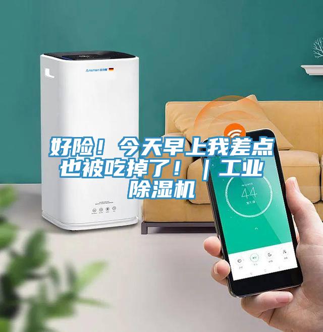 好險！今天早上我差點也被吃掉了！｜工業蘑菇视频网站