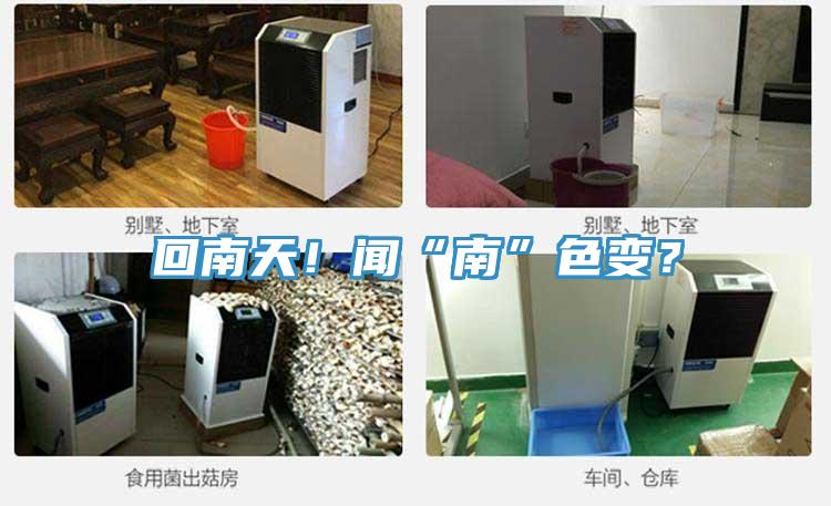 回南天！聞“南”色變？