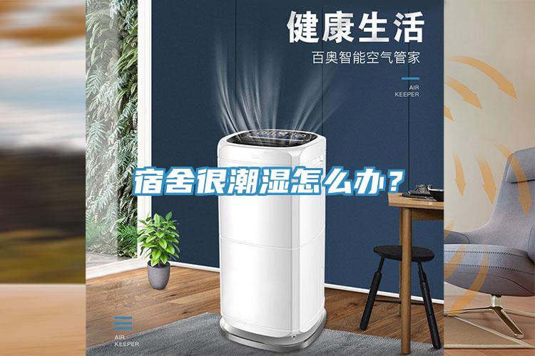 宿舍很潮濕怎麽辦？