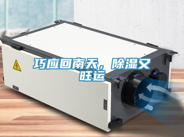 巧應回南天，除濕又旺運