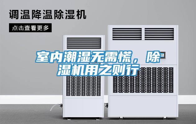 室內潮濕無需慌，蘑菇视频网站用之則行