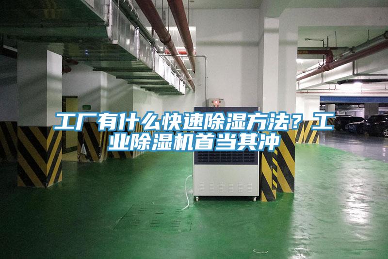 工廠有什麽快速除濕方法？工業蘑菇视频网站首當其衝