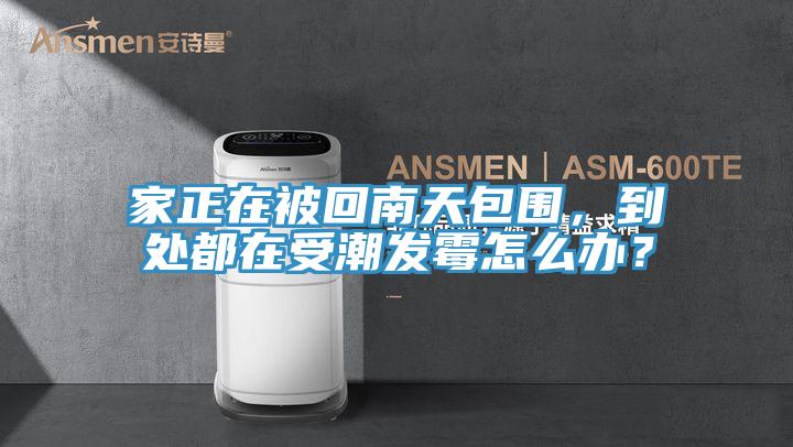家正在被回南天包圍，到處都在受潮發黴怎麽辦？