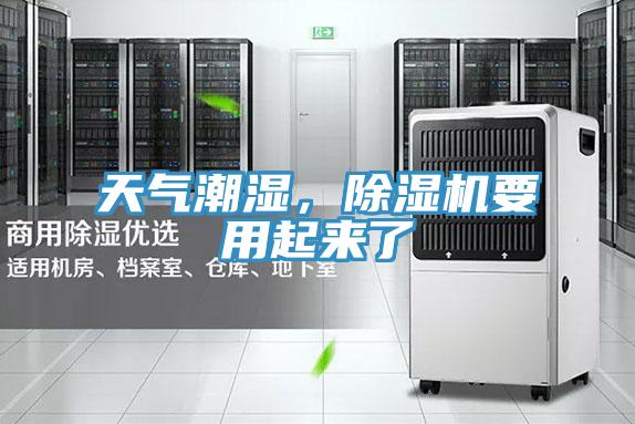 天氣潮濕，蘑菇视频网站要用起來了