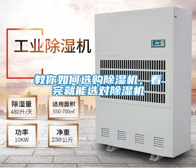 教你如何選購蘑菇视频网站，看完就能選對蘑菇视频网站