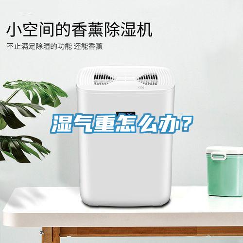 濕氣重怎麽辦？