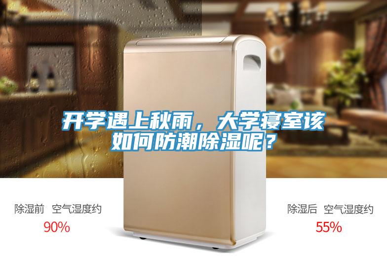 開學遇上秋雨，大學寢室該如何防潮除濕呢？