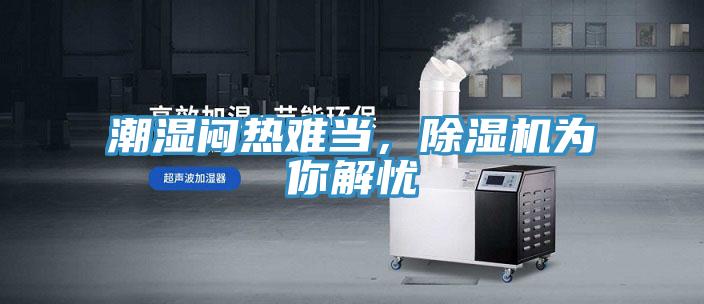潮濕悶熱難當，蘑菇视频网站為你解憂