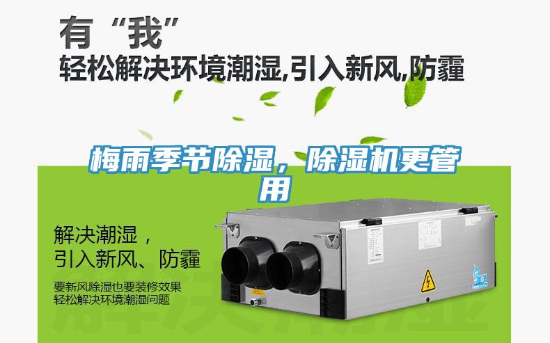 梅雨季節除濕，蘑菇视频网站更管用