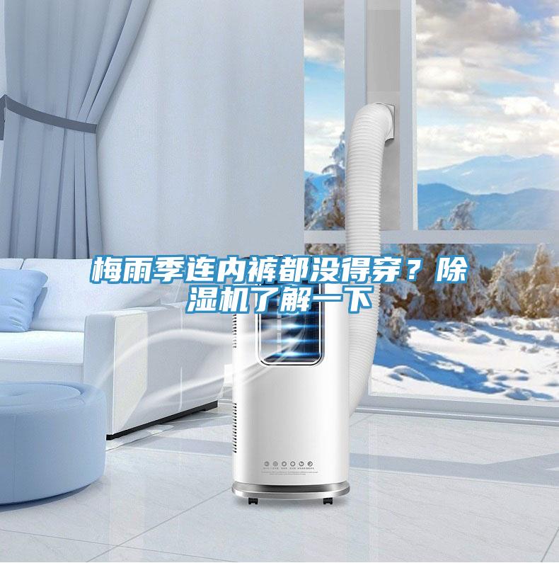 梅雨季連內褲都沒得穿？蘑菇视频网站了解一下