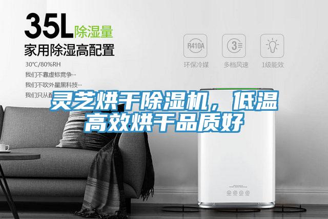 靈芝烘幹蘑菇视频网站，低溫高效烘幹品質好