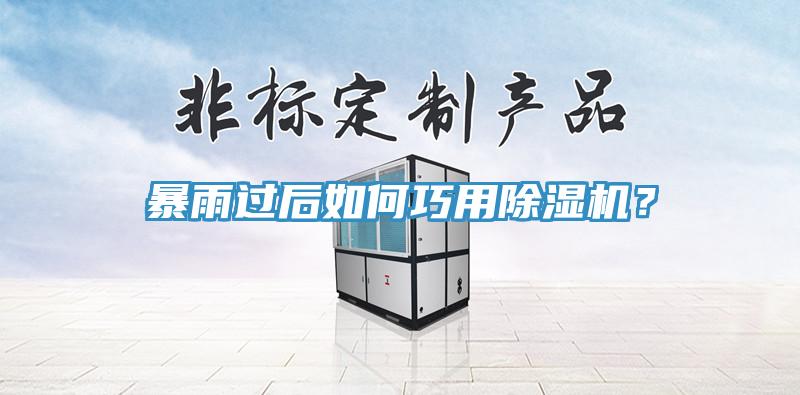暴雨過後如何巧用蘑菇视频网站？