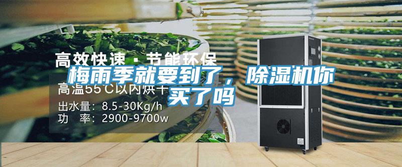 梅雨季就要到了，蘑菇视频网站你買了嗎