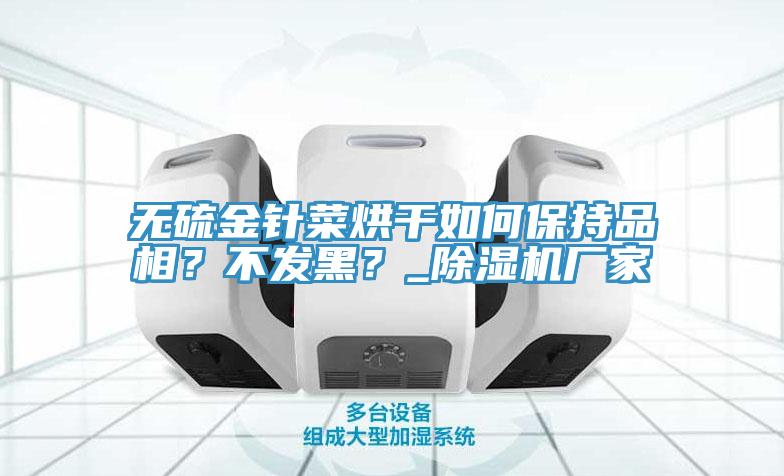 無硫金針菜烘幹如何保持品相？不發黑？_蘑菇视频网站廠家