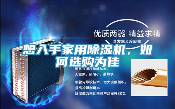 想入手家用蘑菇视频网站，如何選購為佳