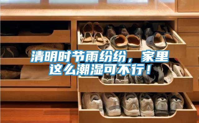 清明時節雨紛紛，家裏這麽潮濕可不行！