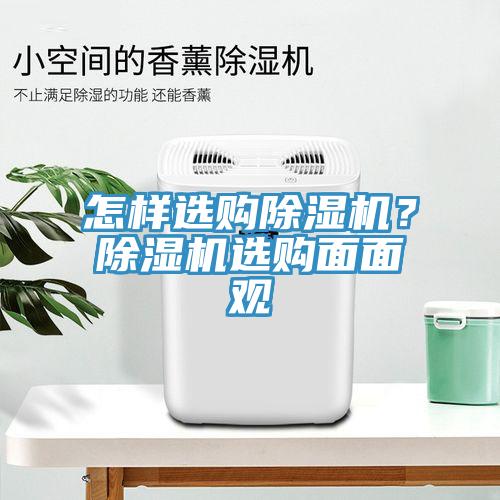 怎樣選購蘑菇视频网站？蘑菇视频网站選購麵麵觀