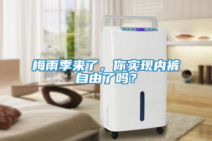 梅雨季來了，你實現內褲自由了嗎？
