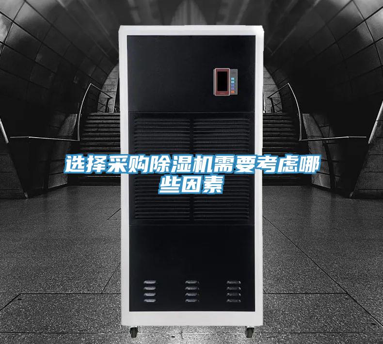 選擇采購蘑菇视频网站需要考慮哪些因素