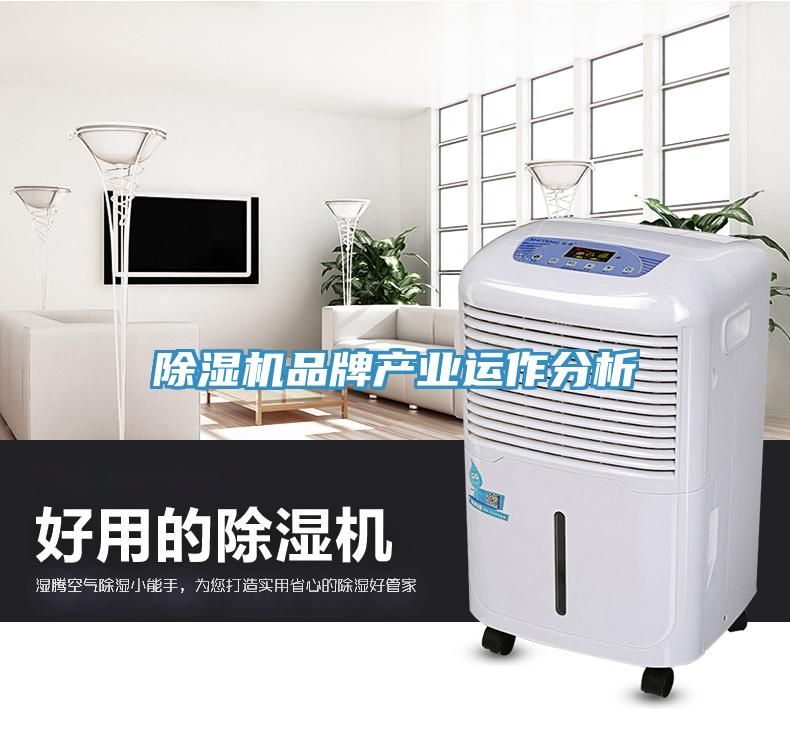 蘑菇视频网站品牌產業運作分析