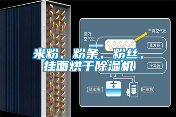 米粉、粉條、粉絲、掛麵烘幹蘑菇视频网站