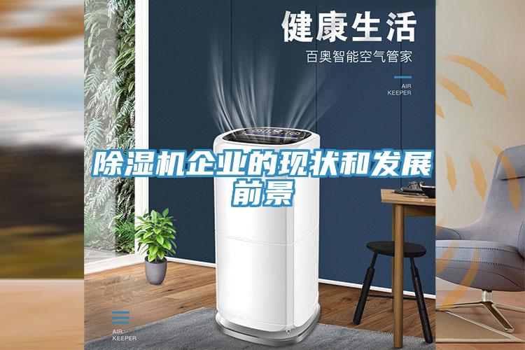 蘑菇视频网站企業的現狀和發展前景