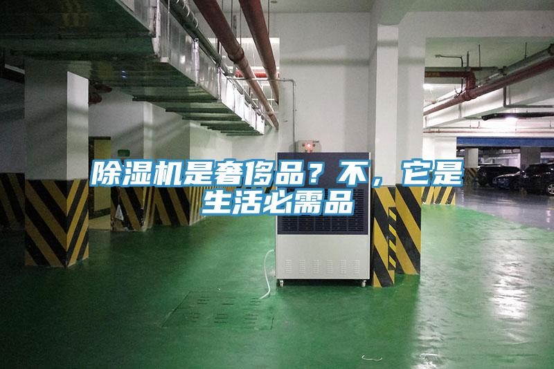 蘑菇视频网站是奢侈品？不，它是生活必需品