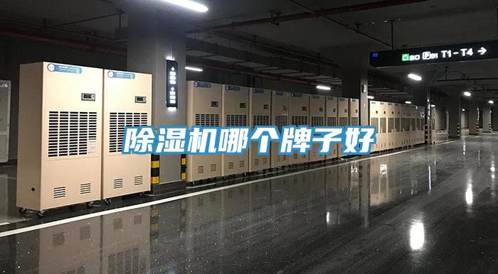 蘑菇视频网站哪個牌子好
