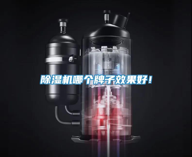 蘑菇视频网站哪個牌子效果好！