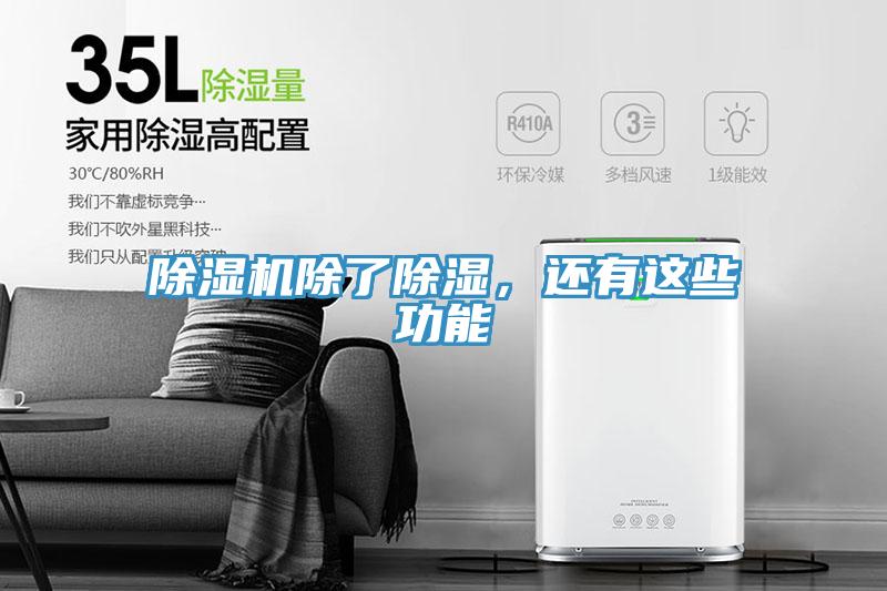 蘑菇视频网站除了除濕，還有這些功能