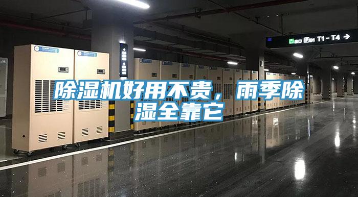 蘑菇视频网站好用不貴，雨季除濕全靠它