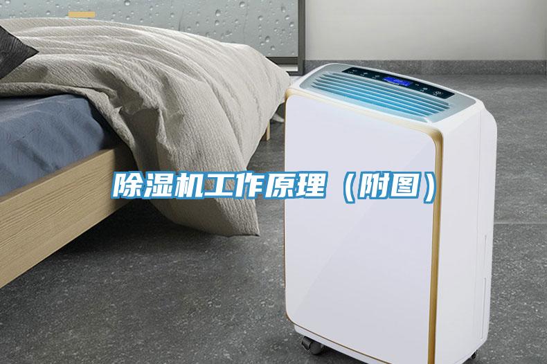 蘑菇视频网站工作原理（附圖）