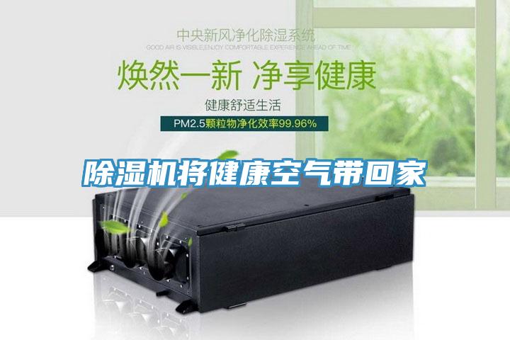 蘑菇视频网站將健康空氣帶回家