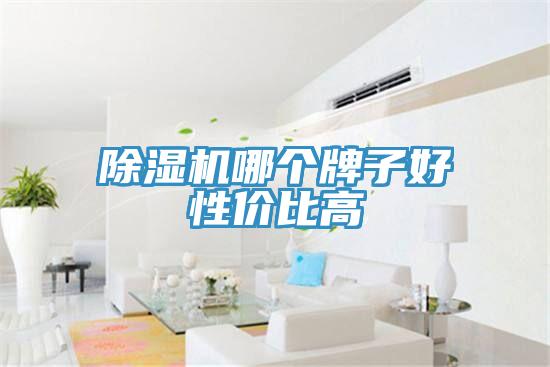 蘑菇视频网站哪個牌子好性價比高