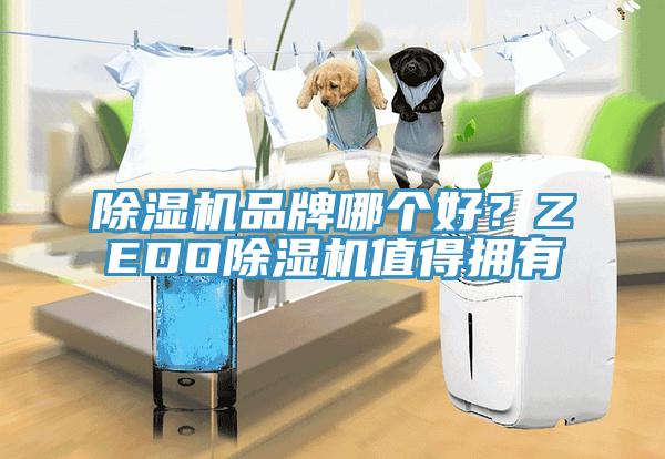 蘑菇视频网站品牌哪個好？ZEDO蘑菇视频网站值得擁有