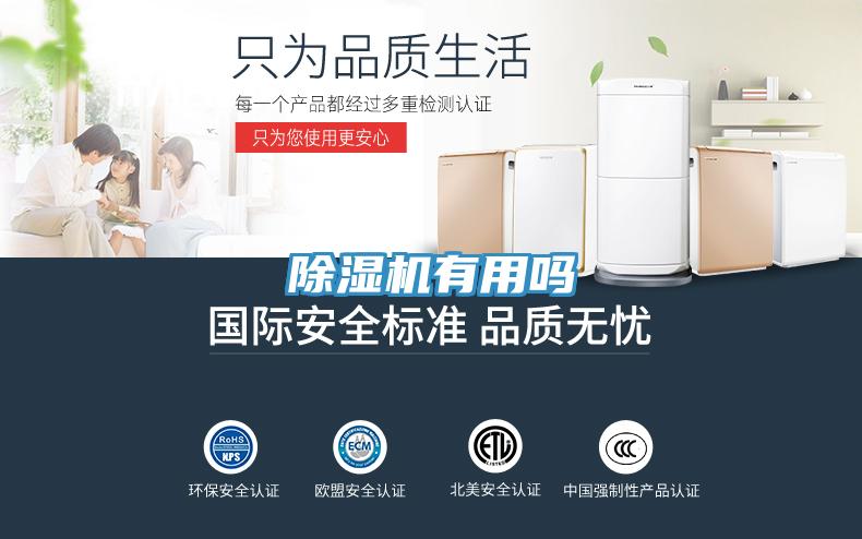 蘑菇视频网站有用嗎