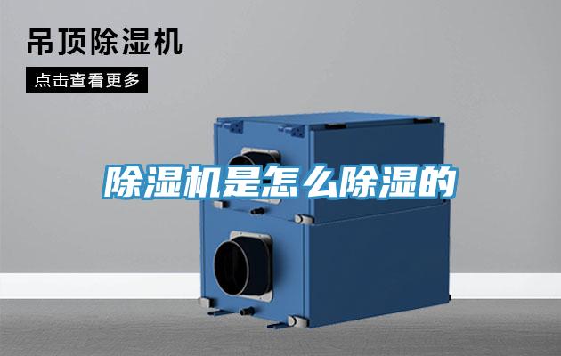 蘑菇视频网站是怎麽除濕的