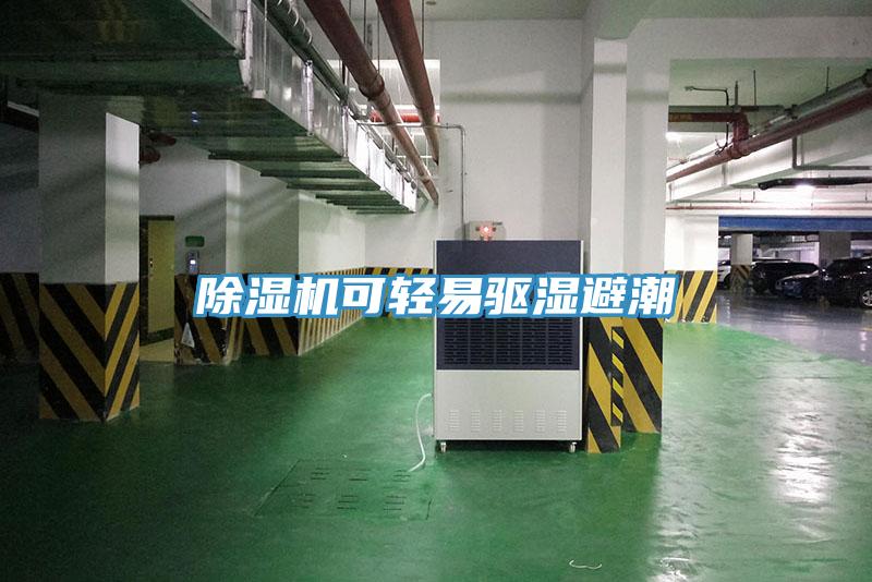 蘑菇视频网站可輕易驅濕避潮