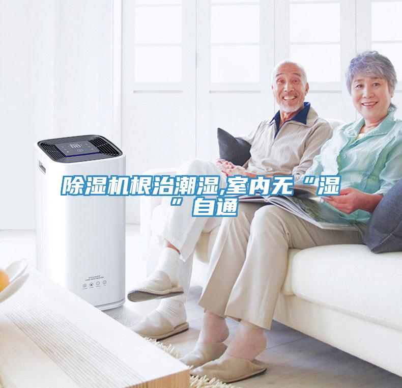 蘑菇视频网站根治潮濕,室內無“濕”自通
