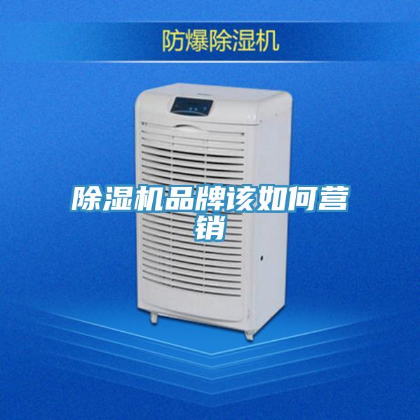 蘑菇视频网站品牌該如何營銷