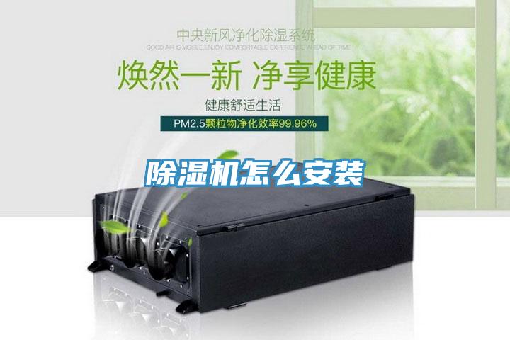 蘑菇视频网站怎麽安裝